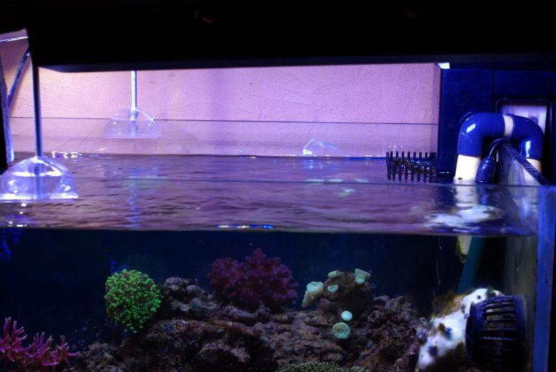 post-954-0-44087300-1400503401_thumb.jpg