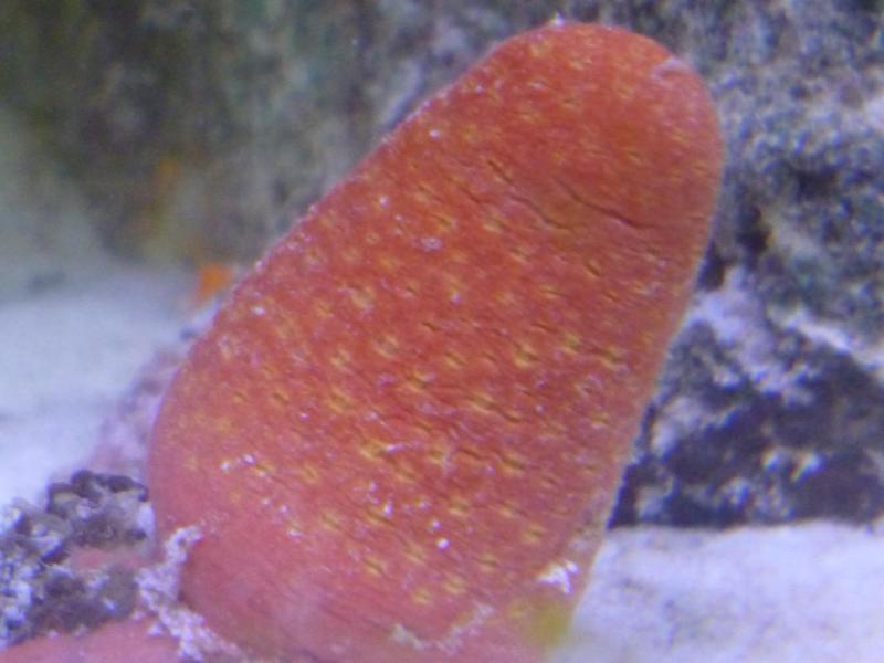 post-2302-0-02047600-1465032682_thumb.jpg