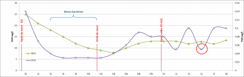 po4-2.png