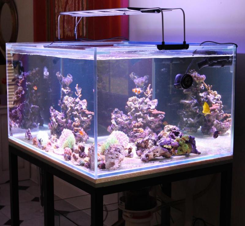 post-1768-0-66227800-1415021504_thumb.jp