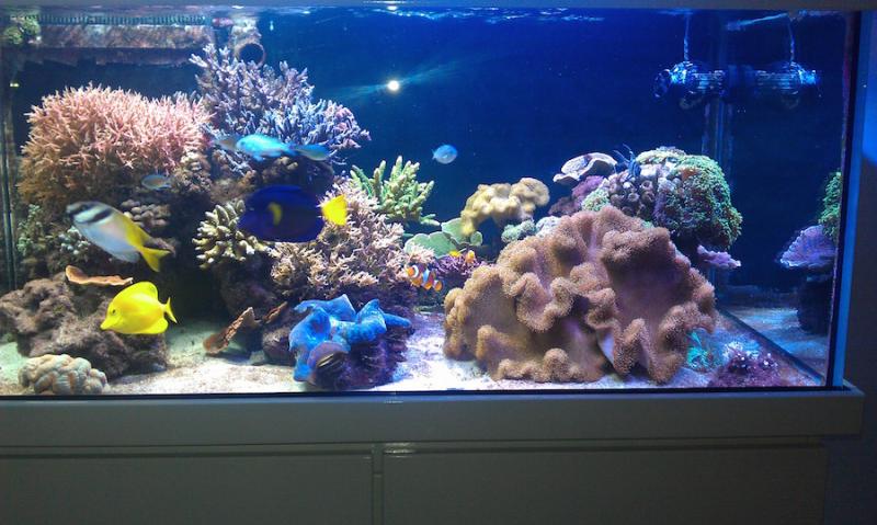 2014-11-12 22.04.33.jpg