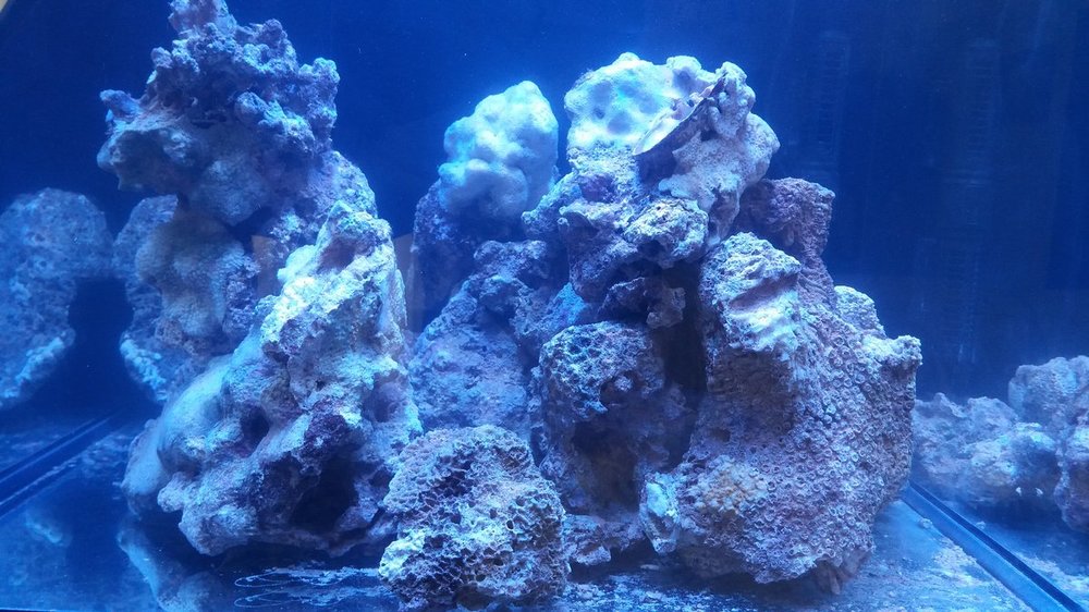 20190116_125022.jpg