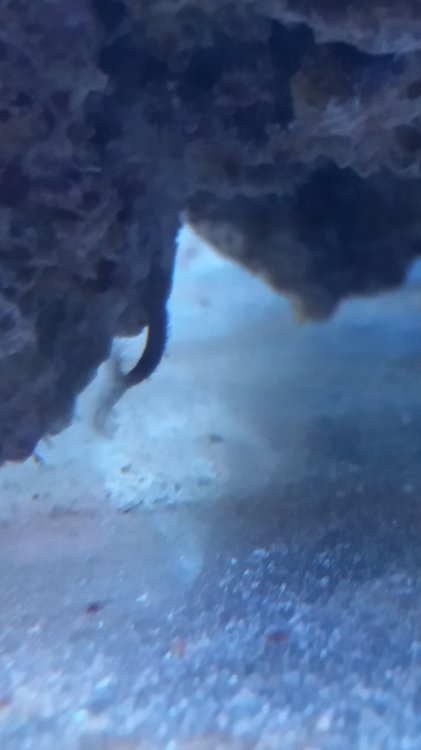 20190124_121720.jpg