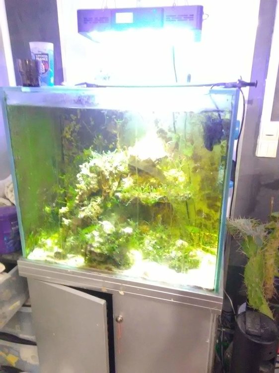 received_2239831109394904.jpeg
