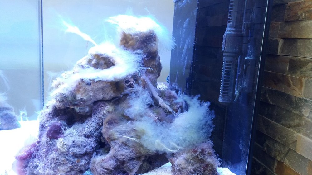 20190307_164051.jpg
