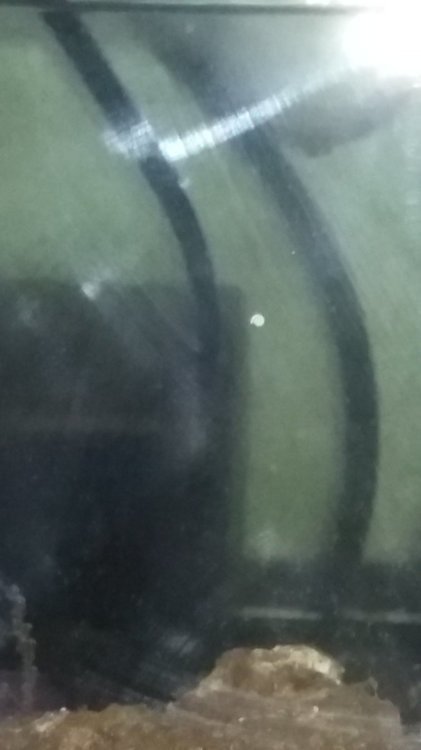 20190314_173352.jpg