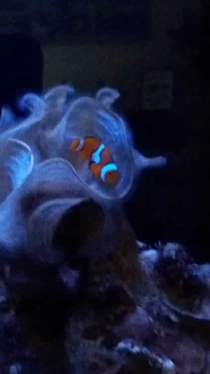 20190525_202458.jpg