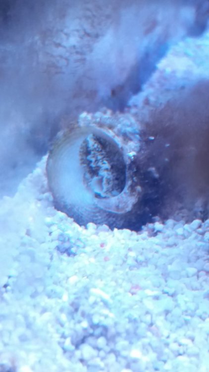 20190603_165847.jpg