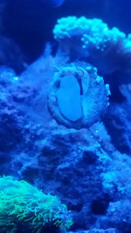 20190604_191249.jpg
