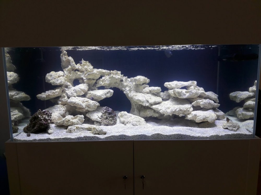 20190623_151205.thumb.jpg.badb39fdb50b2cc3189bb43a7450bad0.jpg