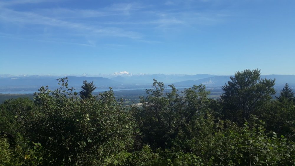 20190913_160701.jpg