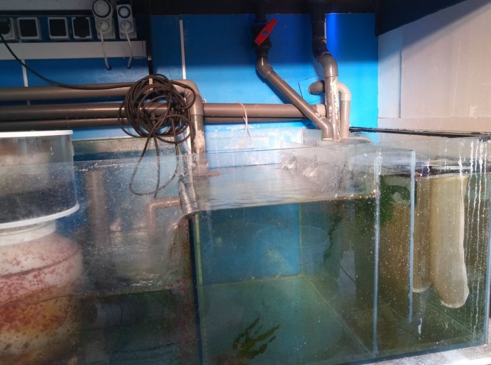 Zone technique_1.jpg