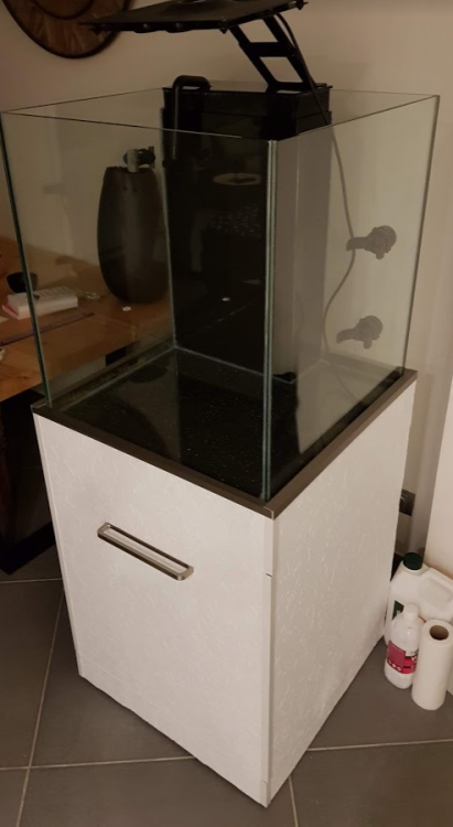 image.thumb.png.1d036508a82780055025a232e91acf9c.png