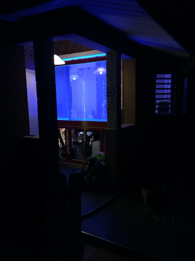 image.png.e33711c8cd6b71c4922da1d230f850db.png