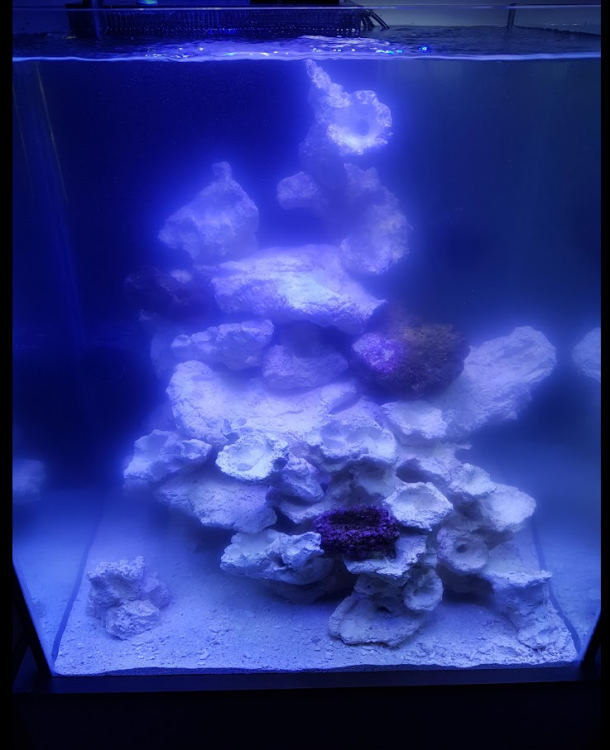 image.thumb.png.75254e748d2aa4a3870b6dd1d1f1f213.png