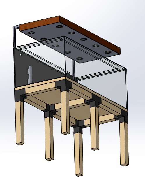 Ass Aquarium 1000 Litres-2.JPG