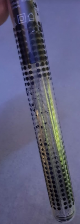 image.thumb.png.05df515d02e5f1315ae25ad445d0e663.png