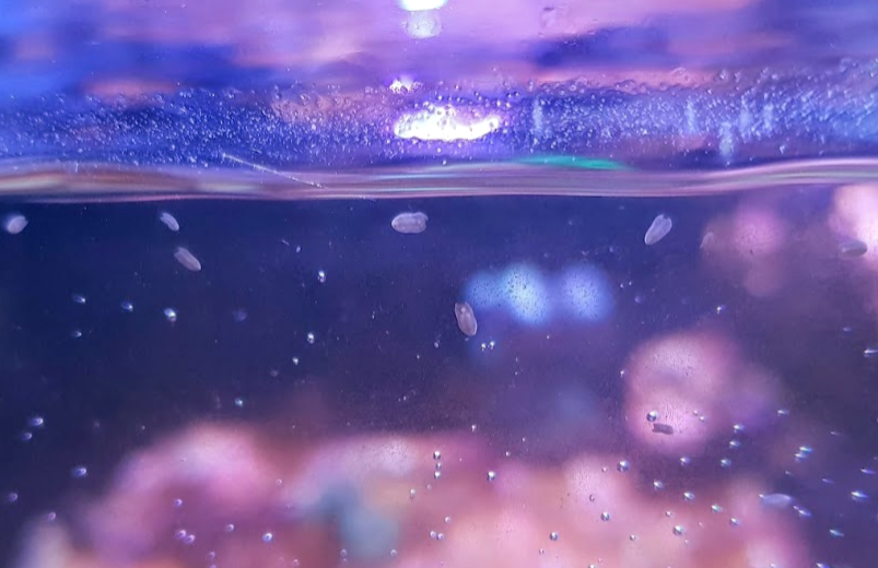 image.png.da96844ed1fd3665f9c1189de041e4c8.png