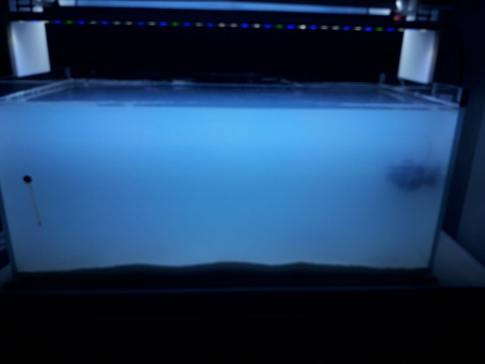20201127_100625.jpg