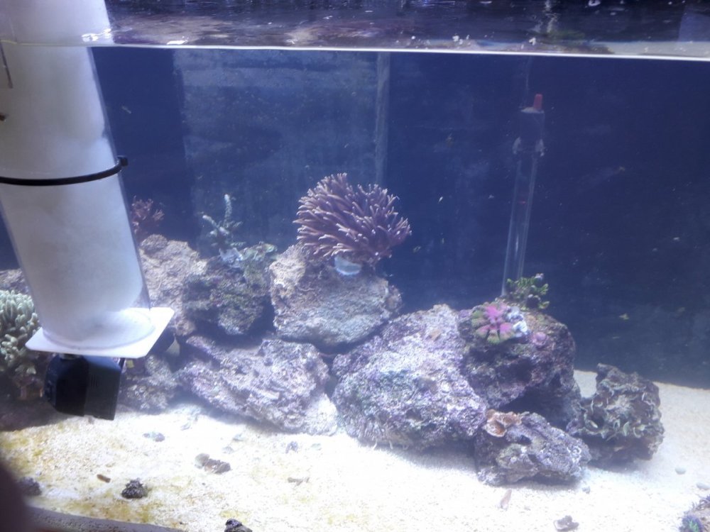 20201212_153651.jpg