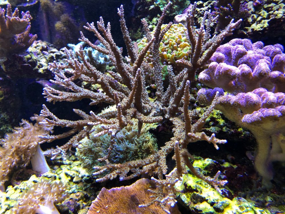 IMG_9136.jpg
