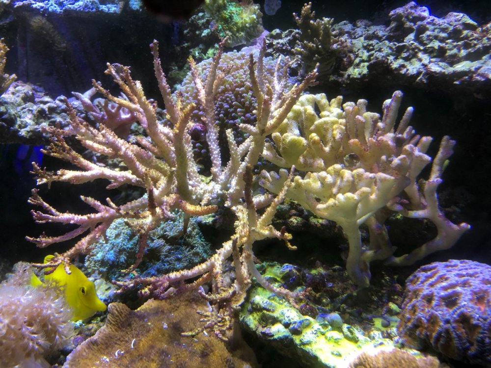 IMG_9494.jpg