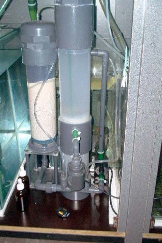 1180656400_RAH-RAC.jpg.035dcffbef300482068f87441bbd90cc.jpg