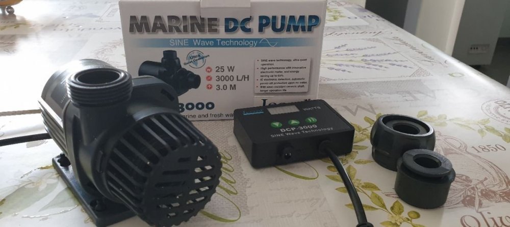 Aquarium Red Sea Reefer V3 250 eau de mer (6).jpg