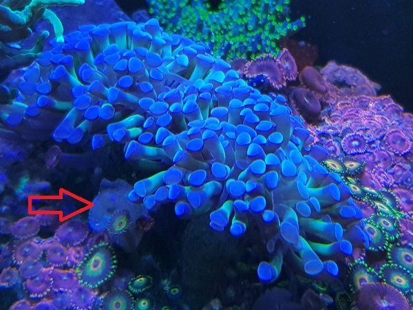 20220128_134632.jpg.2f3f2f80a858804d720e90eae3da38f7.jpg