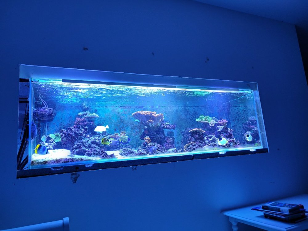 23 décembre 2022 2.jpg