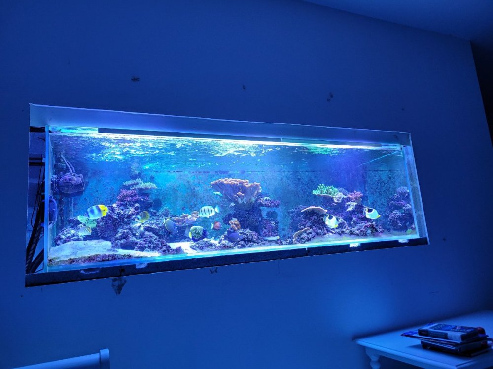 23 décembre 2022 3.jpg