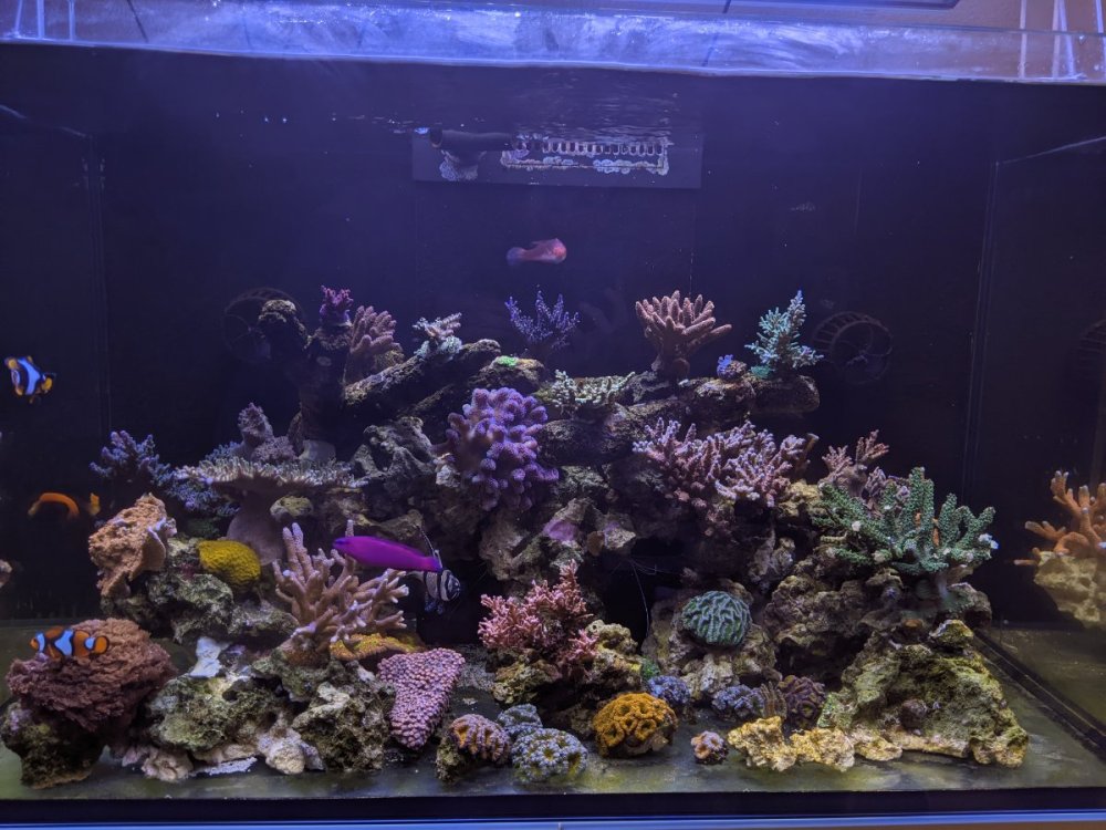 PXL_20230428_114204021.jpg