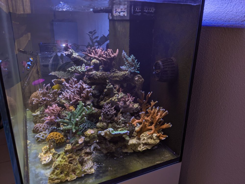 PXL_20230428_114225797.jpg