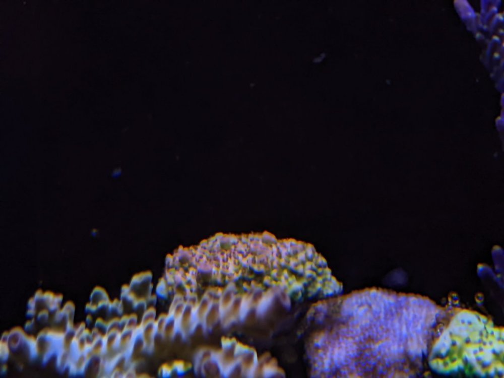 PXL_20230514_200824609.jpg