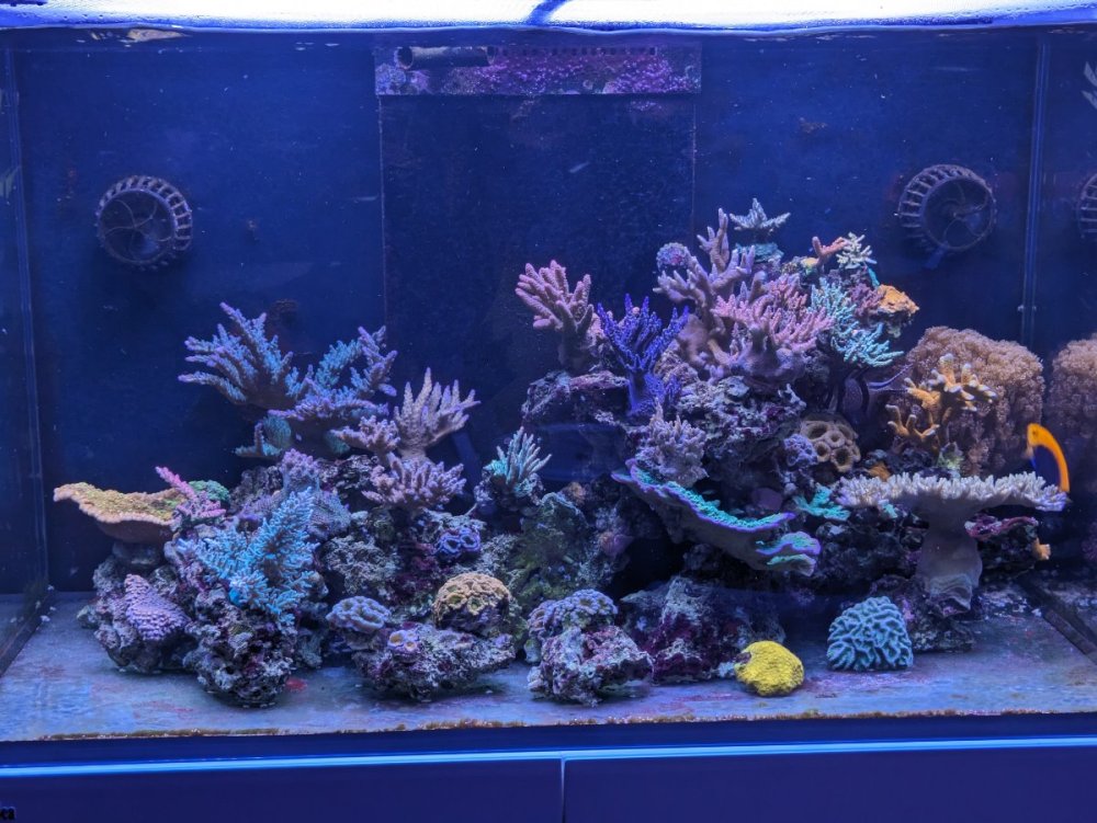 PXL_20231012_182651922.jpg