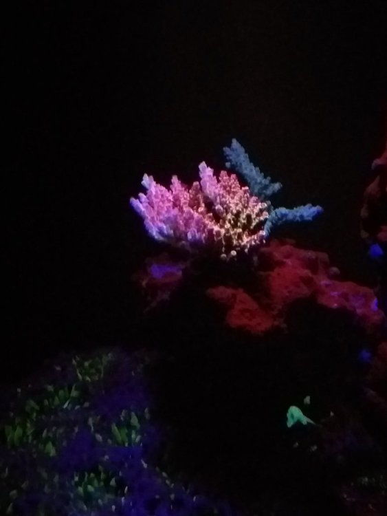 20231205_184259.jpg