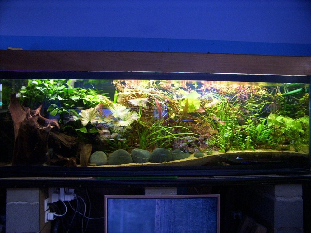 DCP_0023.JPG