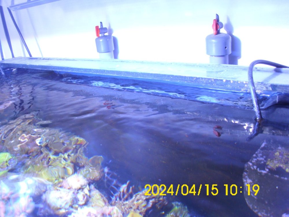 DSCI0263.JPG