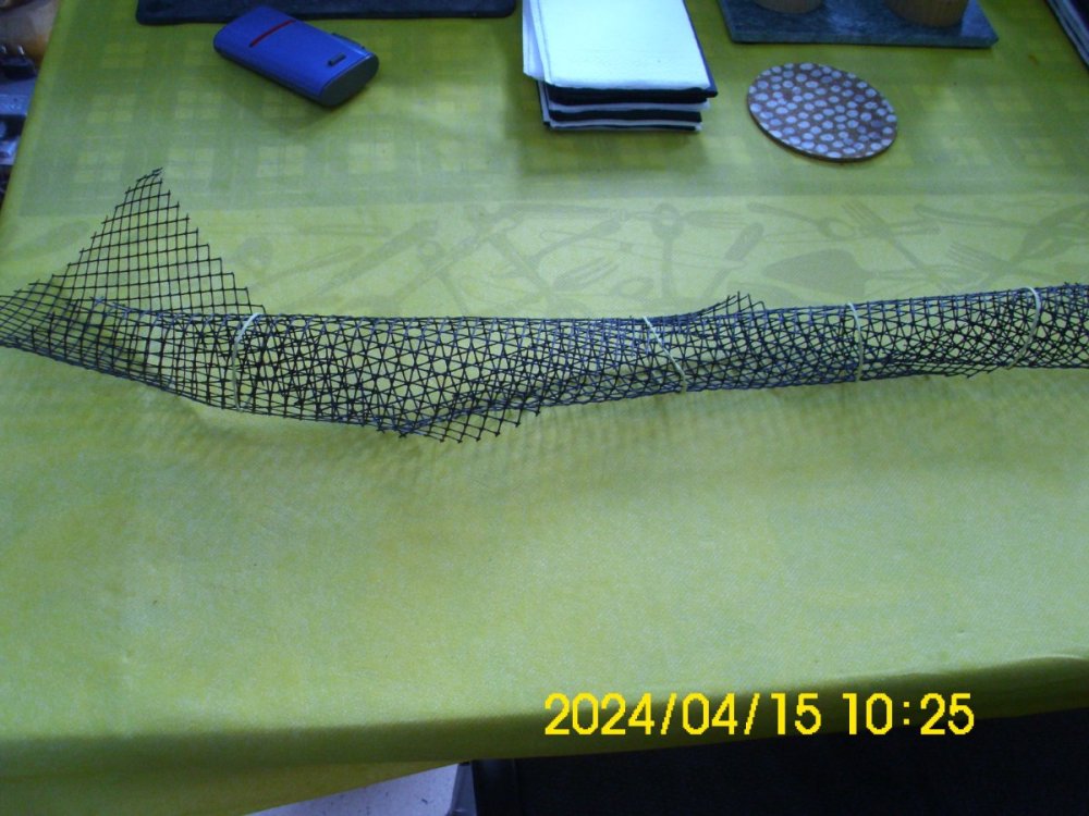 DSCI0264.JPG