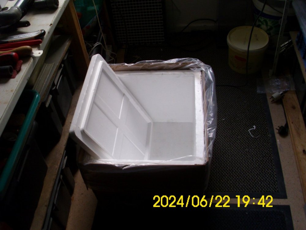 DSCI0274.JPG