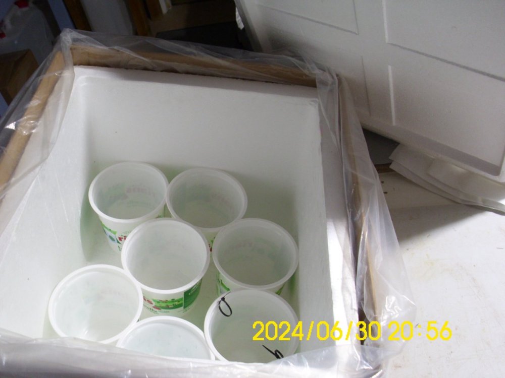 DSCI0284.JPG