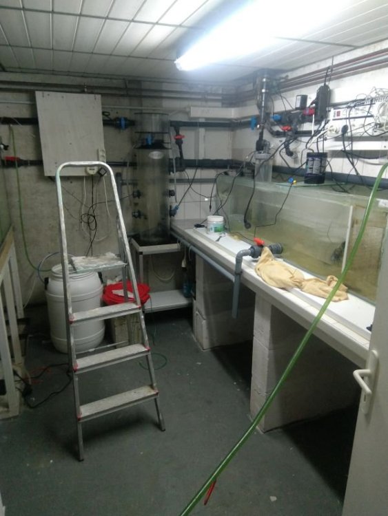 2018-03-28 10.45.26.jpg