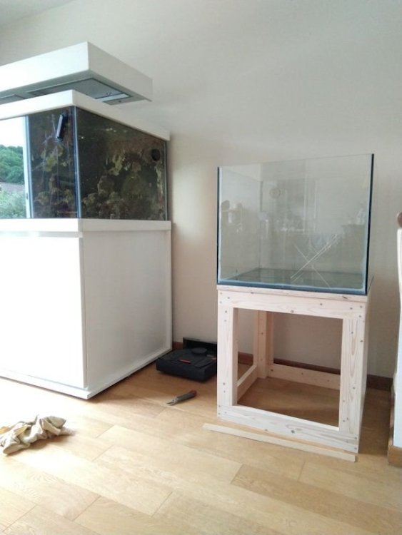 2017-06-03 17.14.57.jpg