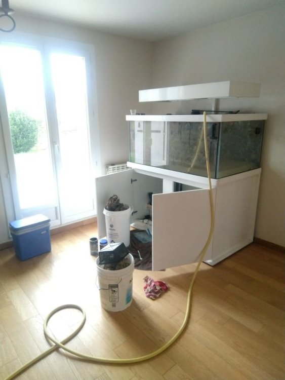 2018-03-28 10.44.55.jpg