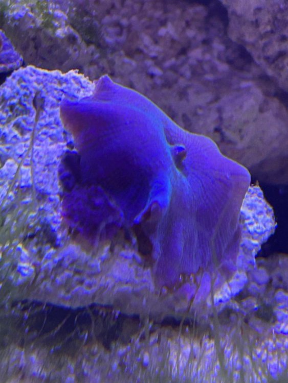 IMG_4541.jpeg