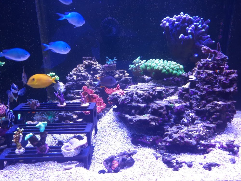 20260729_141105.jpg