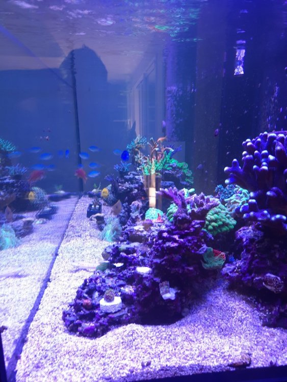 20261008_153327.jpg